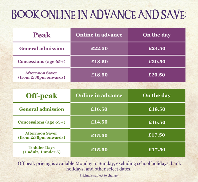 Pricing Chart (1)
