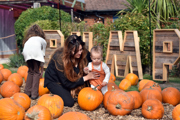 EPSOM PUMPKINS08