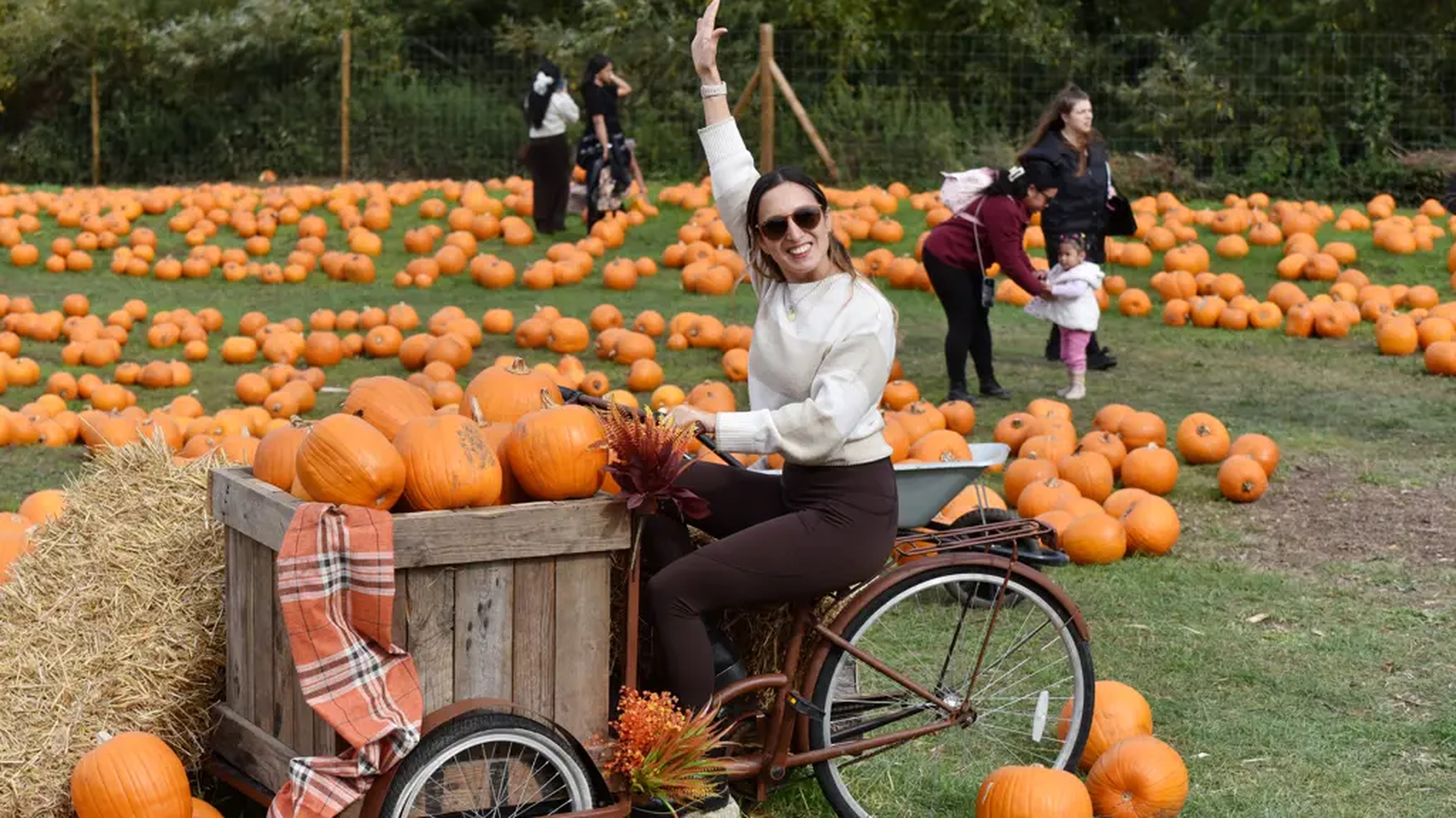 Pumpkin Picking Near London Hobbledown Heath
