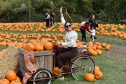 Pick Your Own Pumpkins Hobbledown Heath Hounslow 2025