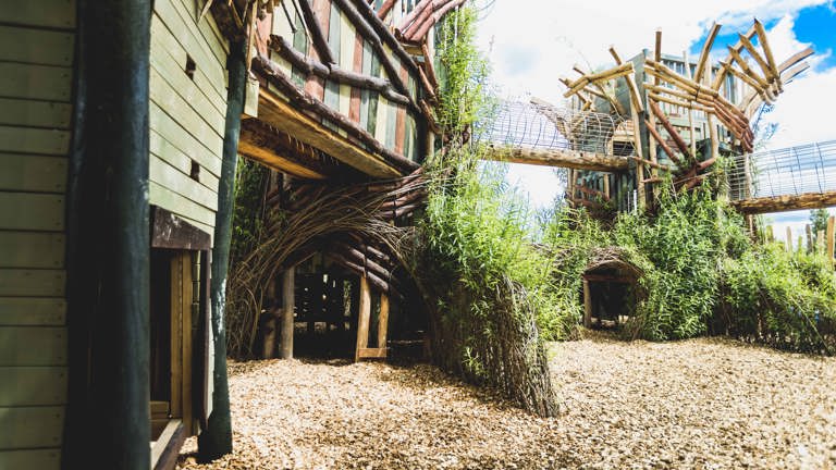 Tp 2022 Hobbledown Heath 0102