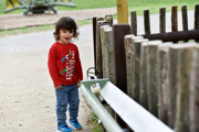 Hobbledown Marble Run 11