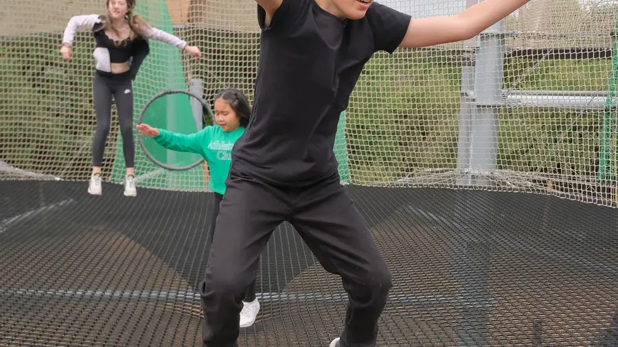 Net Slide Adventure Net Park at Hobbledown Heath | Treetop Adventure Hounslow