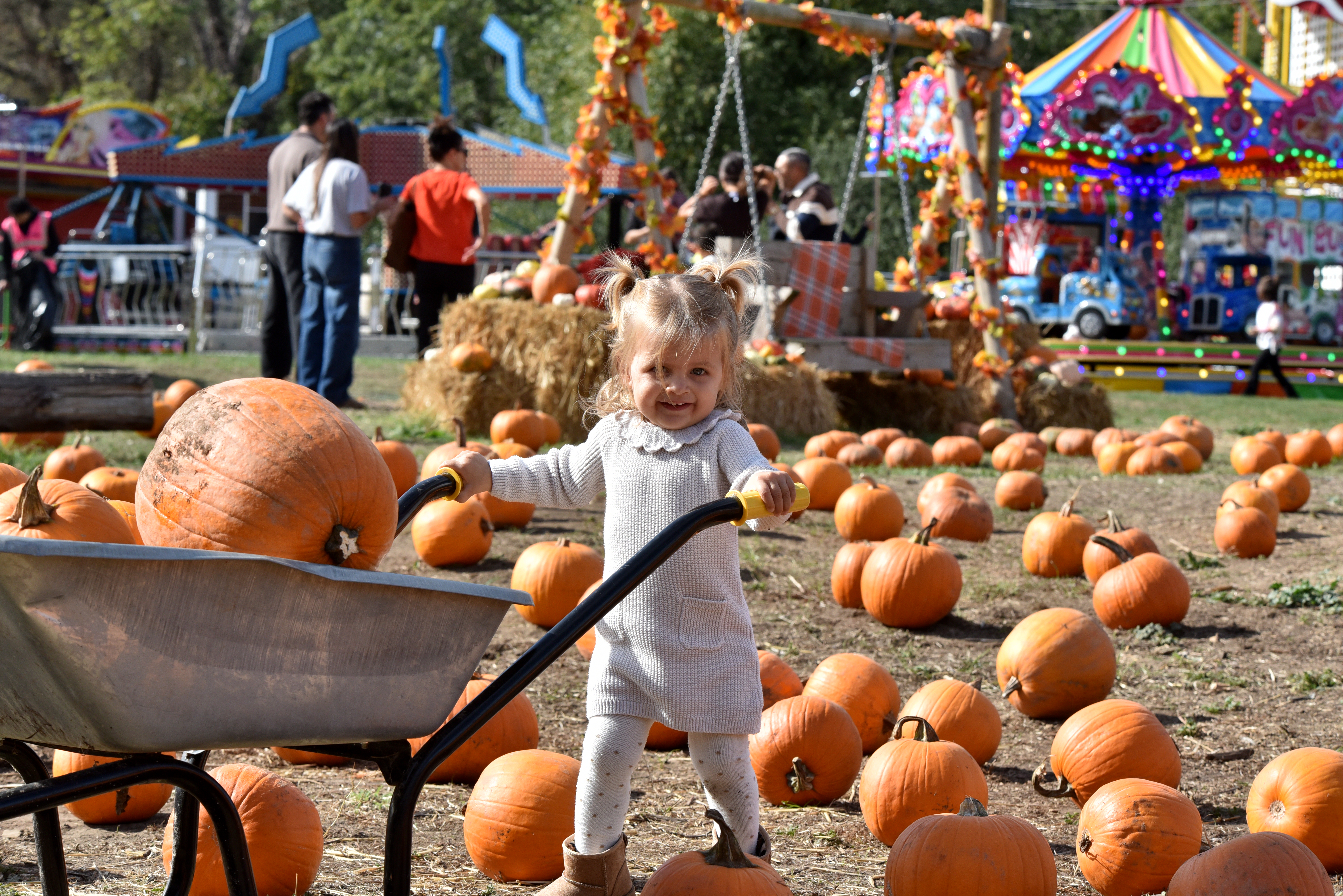 pumpkin-picking-hounslow