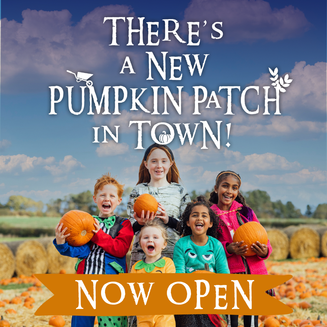 Pumpkins Now Open