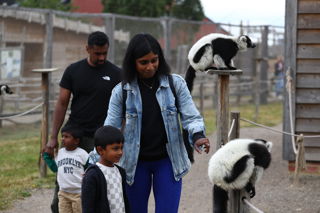 Family in Ruffed Lemurs