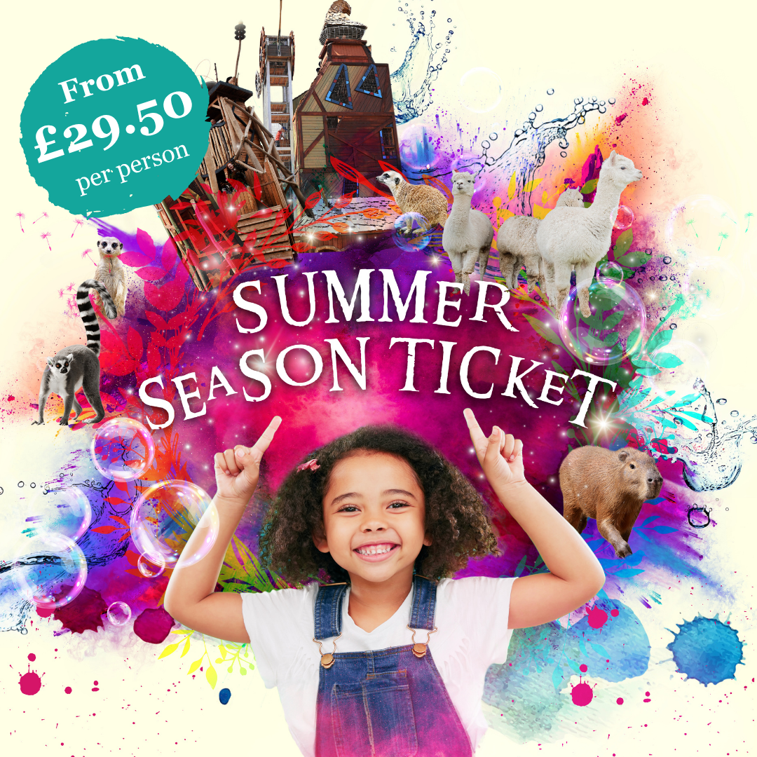 summer-season-ticket