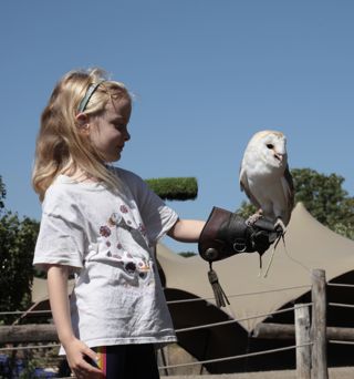 Child Barn Owl