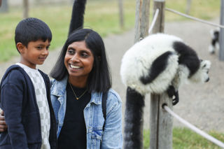 FOX21043 Lemur (1)