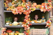 EPSOM PUMPKINS04