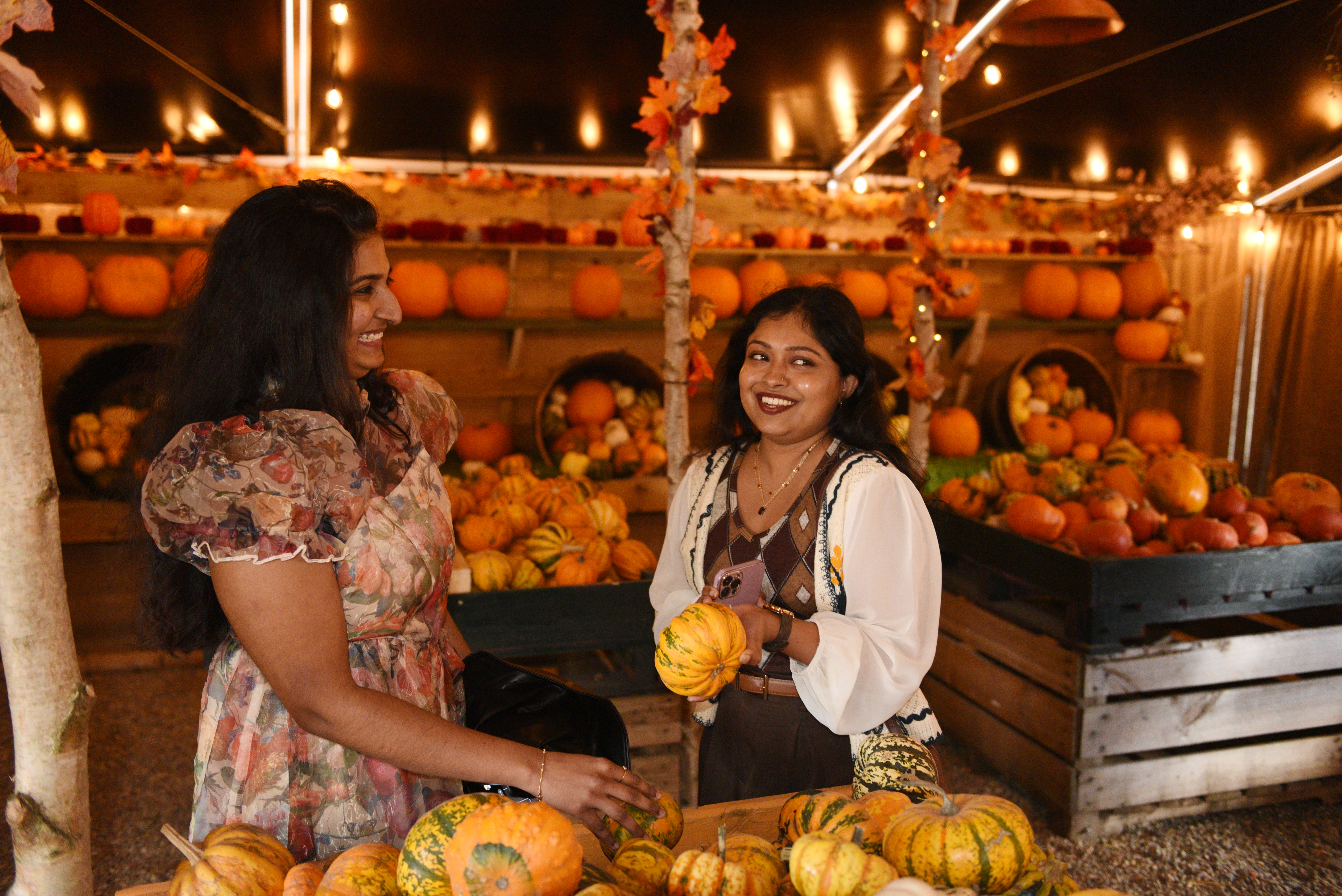 PUMPKINS 2025 019