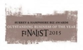 Outstanding Business Award Logos 012 300X180 250X150