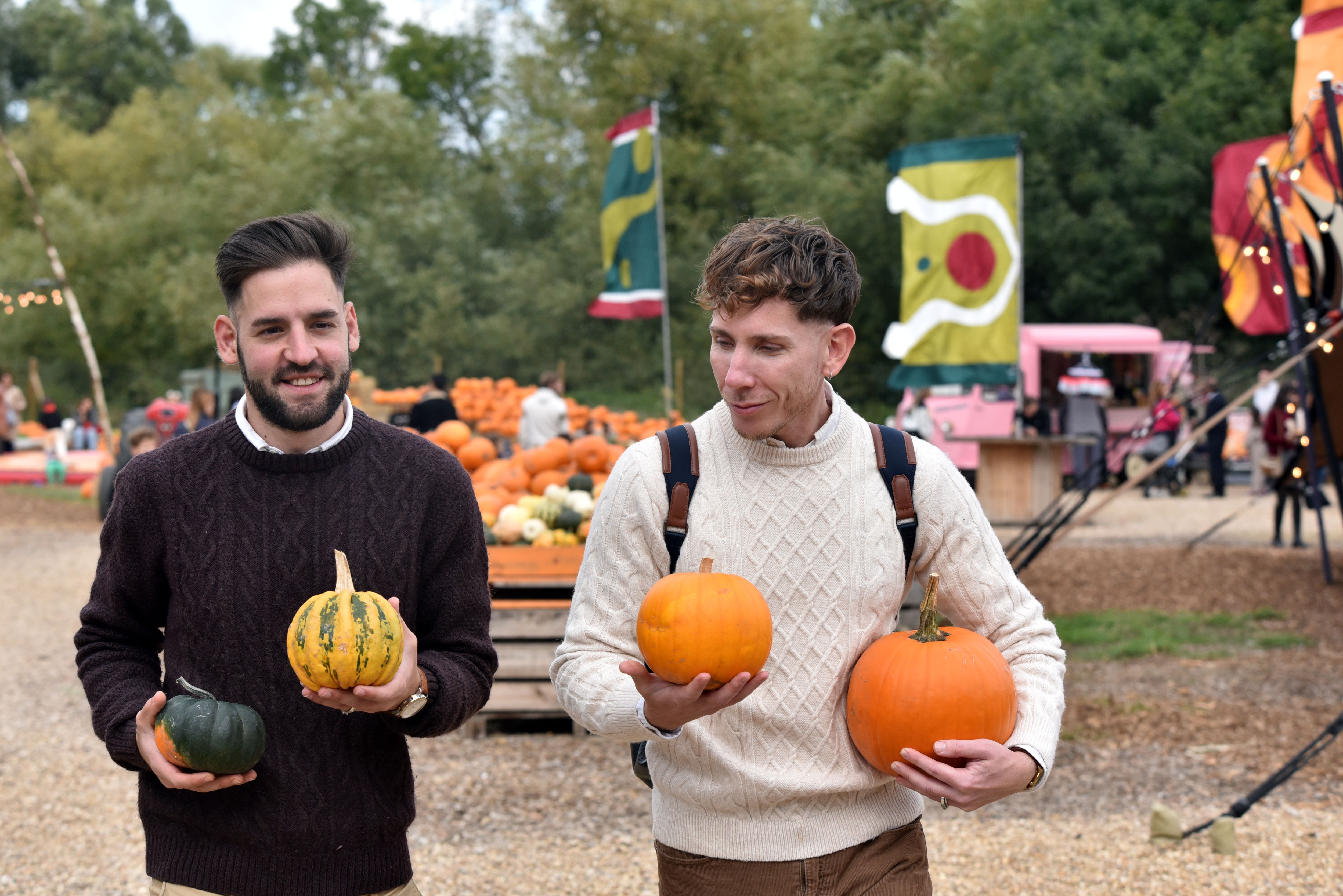 Pumpkin Patch At Hobbledown Heath