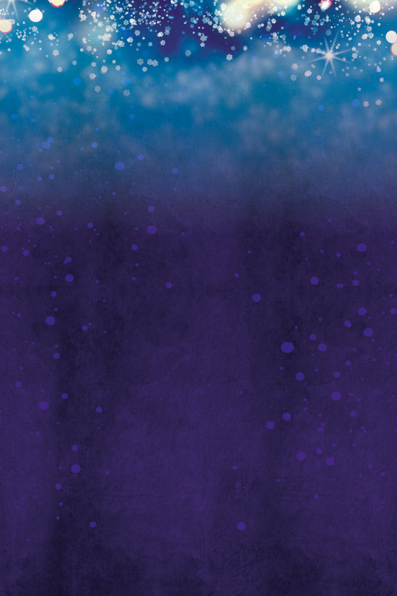 Santa's Secret Village