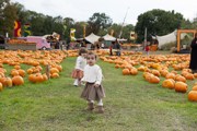 Hobbledown-Heath-Pumpkin-Patch-Girl-October-Half-Term-London
