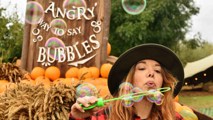 Pumpkin Picking Hobbledown Heath London Halloween Event