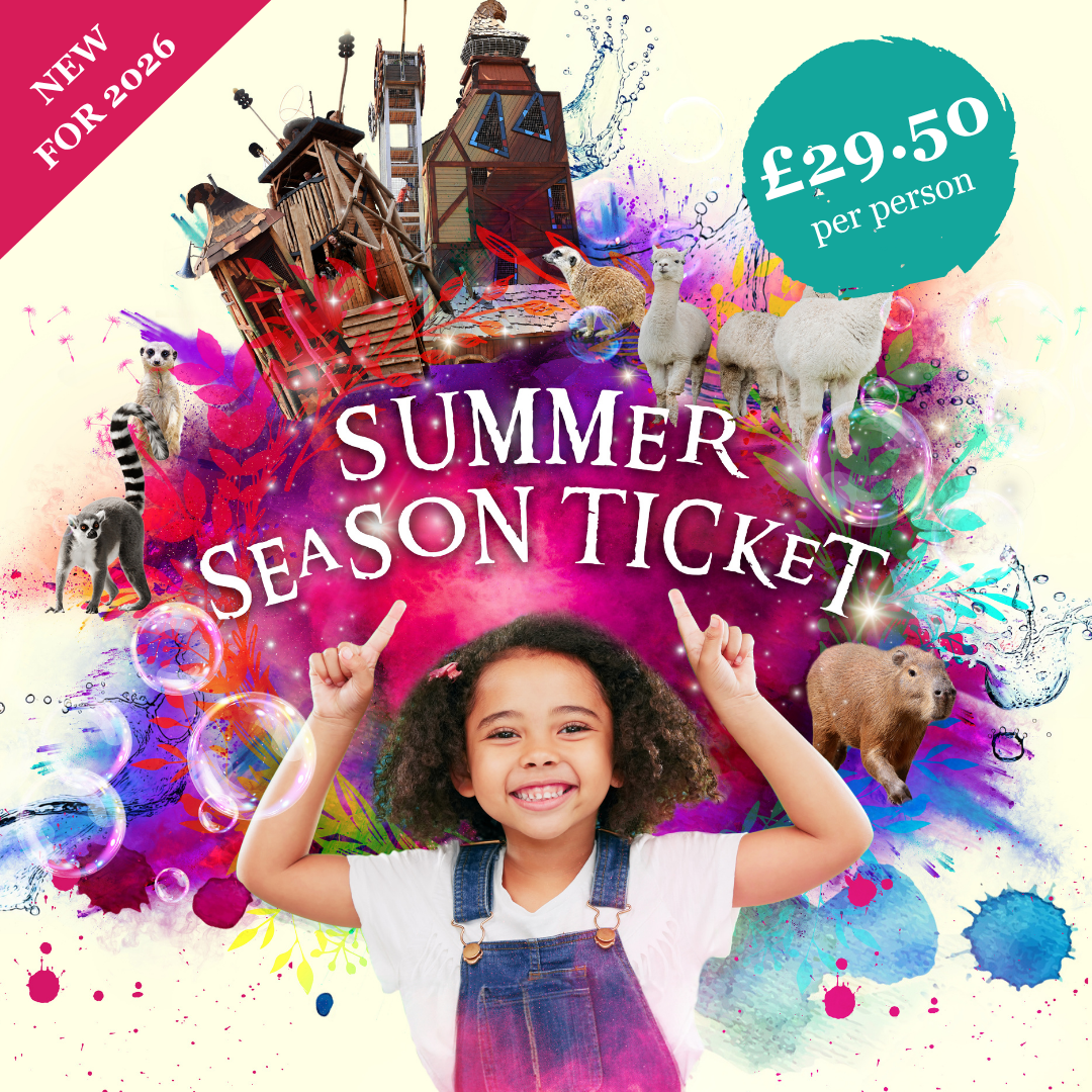 Summer Season Ticket Hobbledown (3)