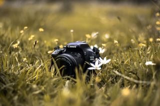 Dslr