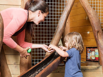 Indoor Play Barn