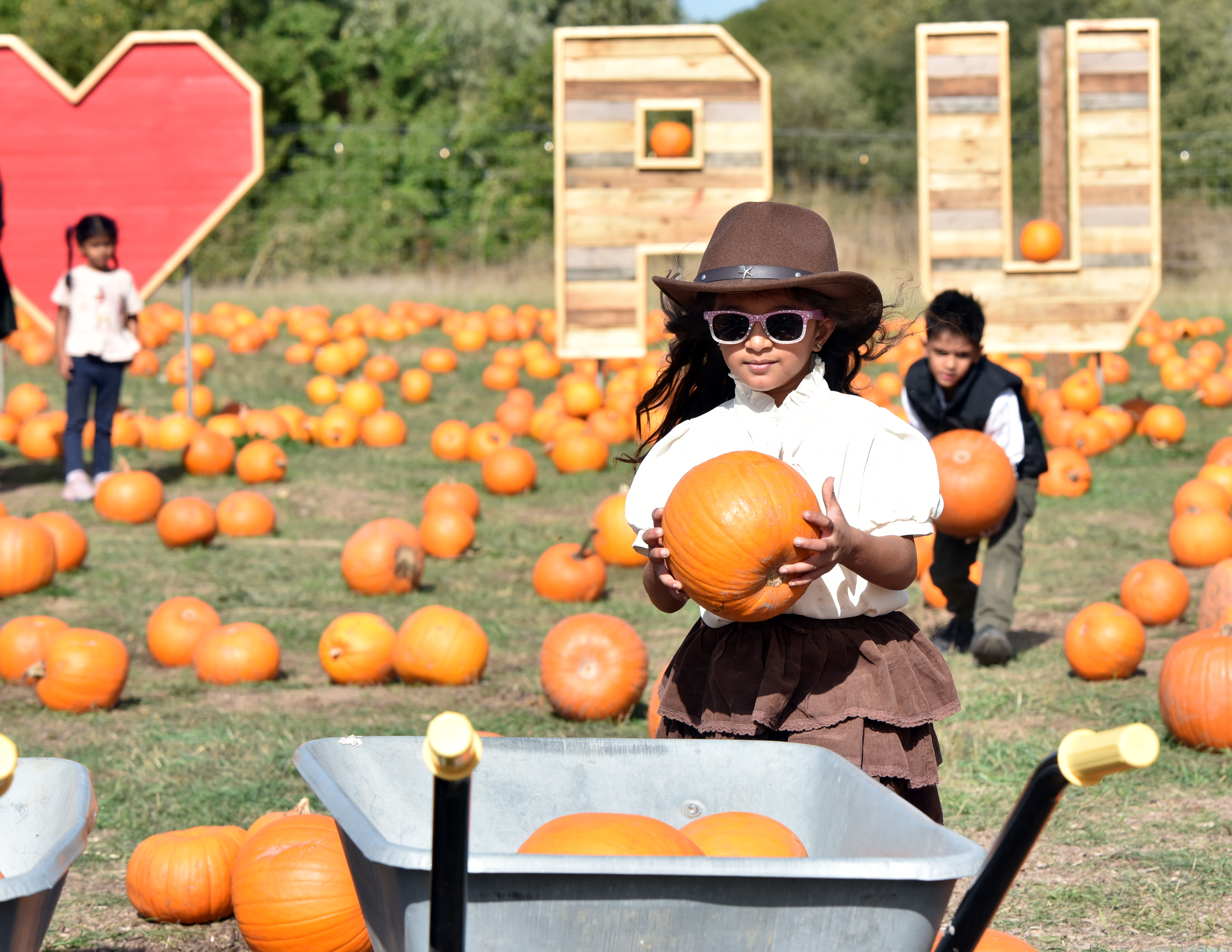 HEATH PUMPKINS24