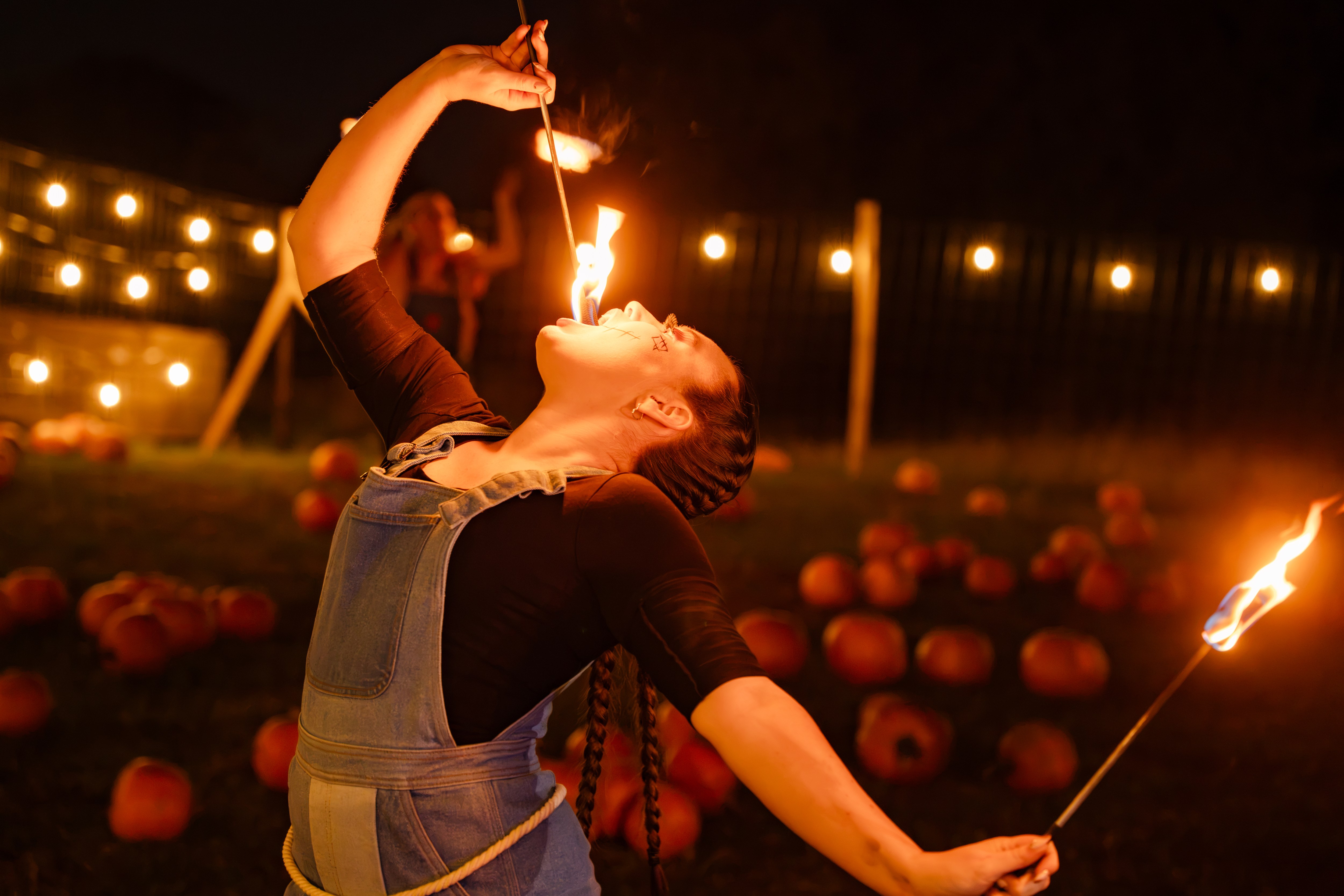Hobbledown Pumpkins 83