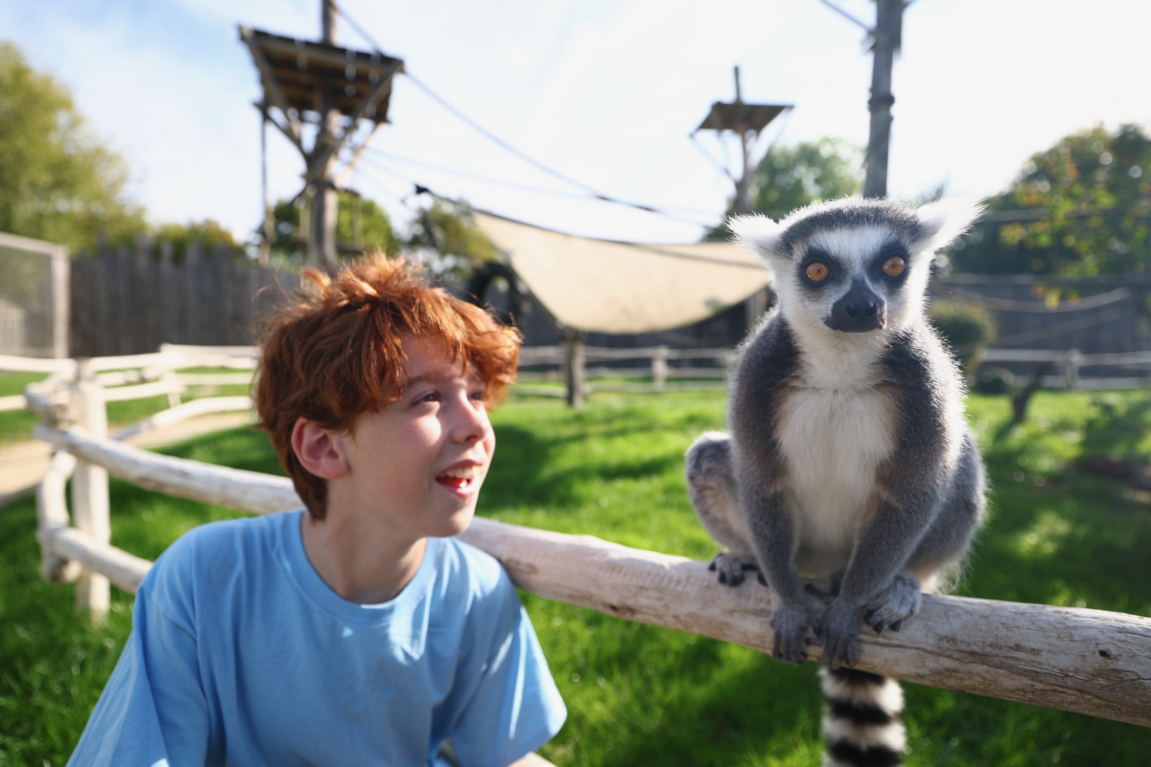 Child with lemur