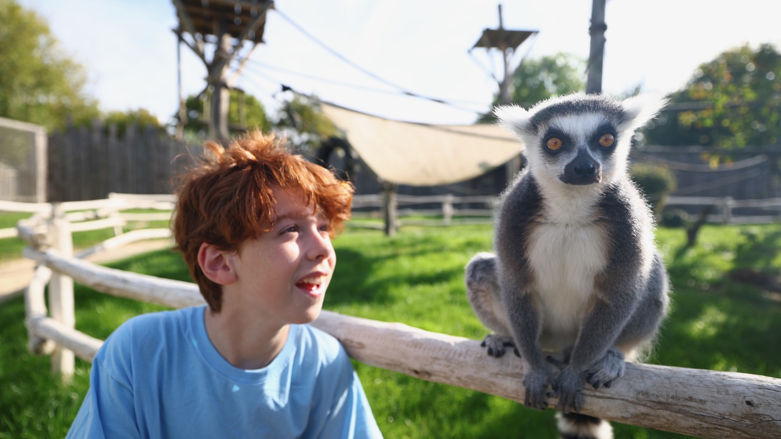 Child with lemur
