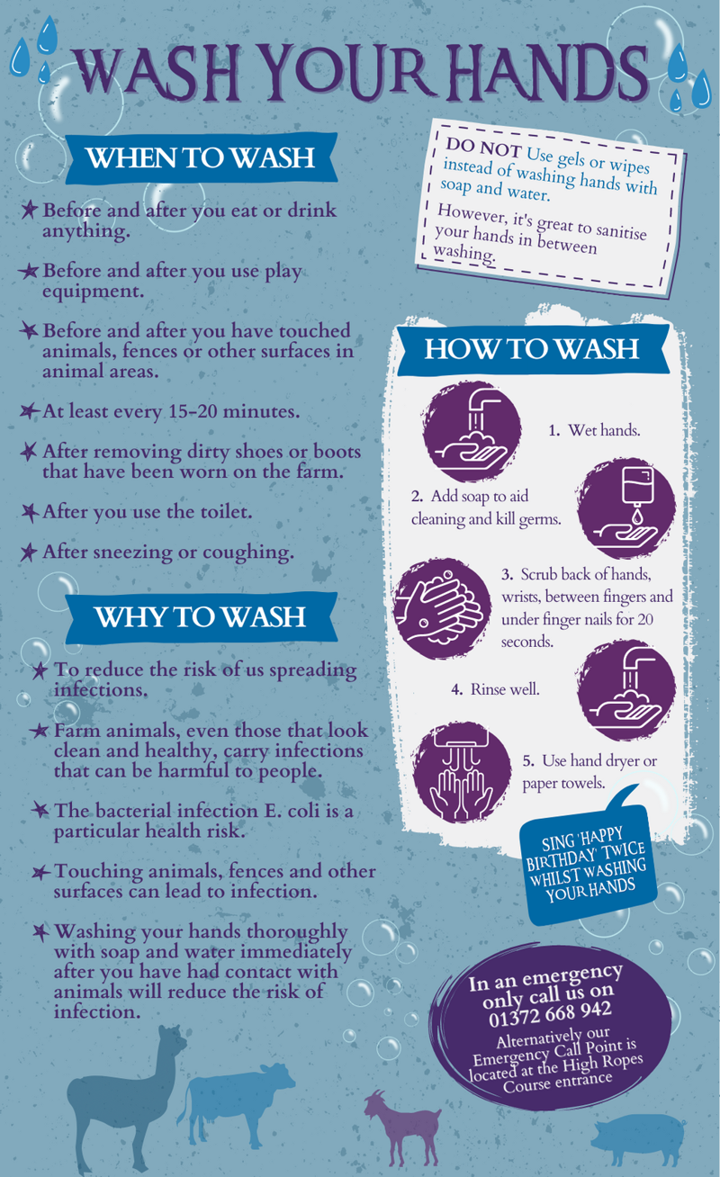 Hand Washing Info