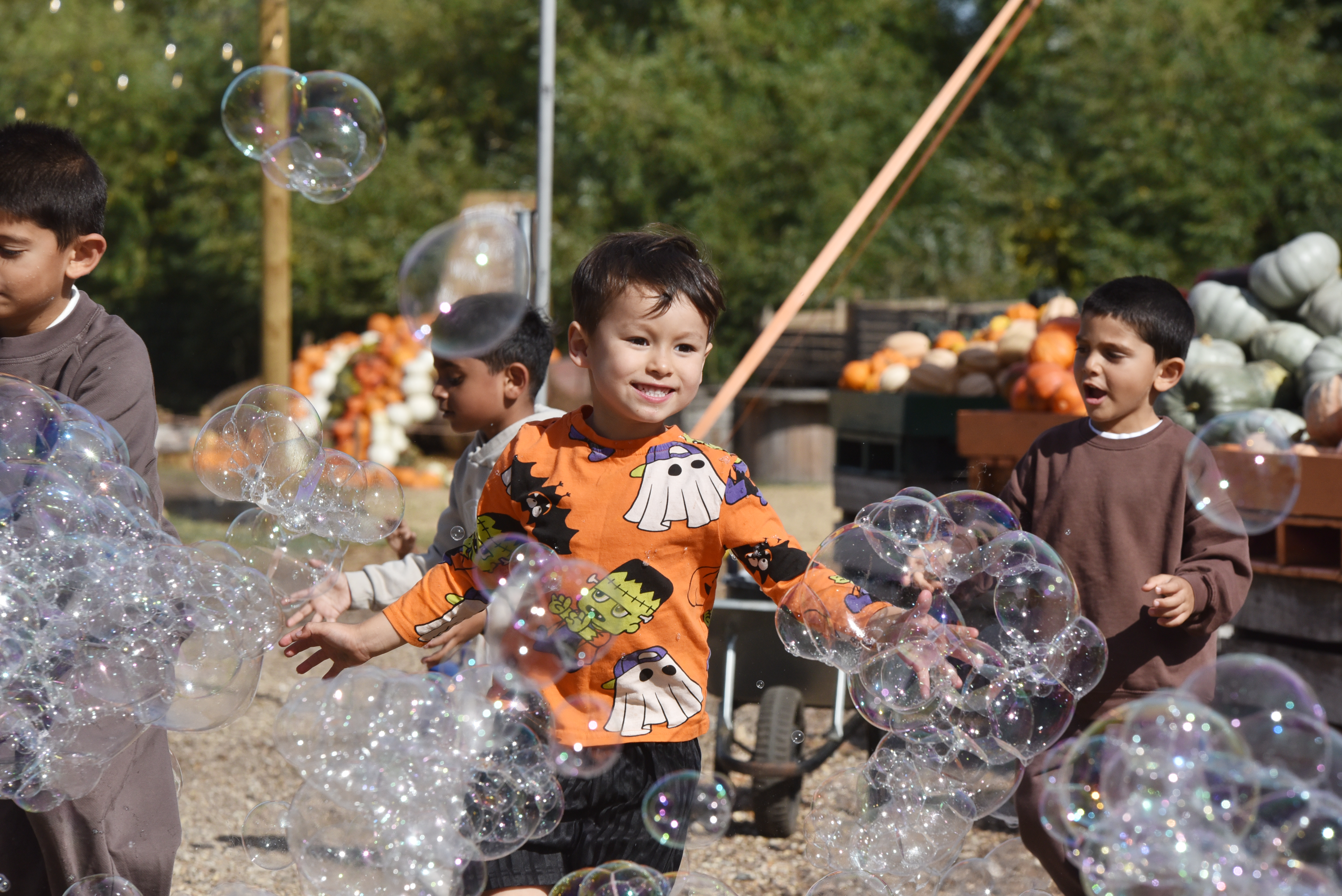 pumpkin-picking-west-london