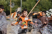 pumpkin-picking-west-london