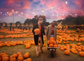 Pumpkin Nights