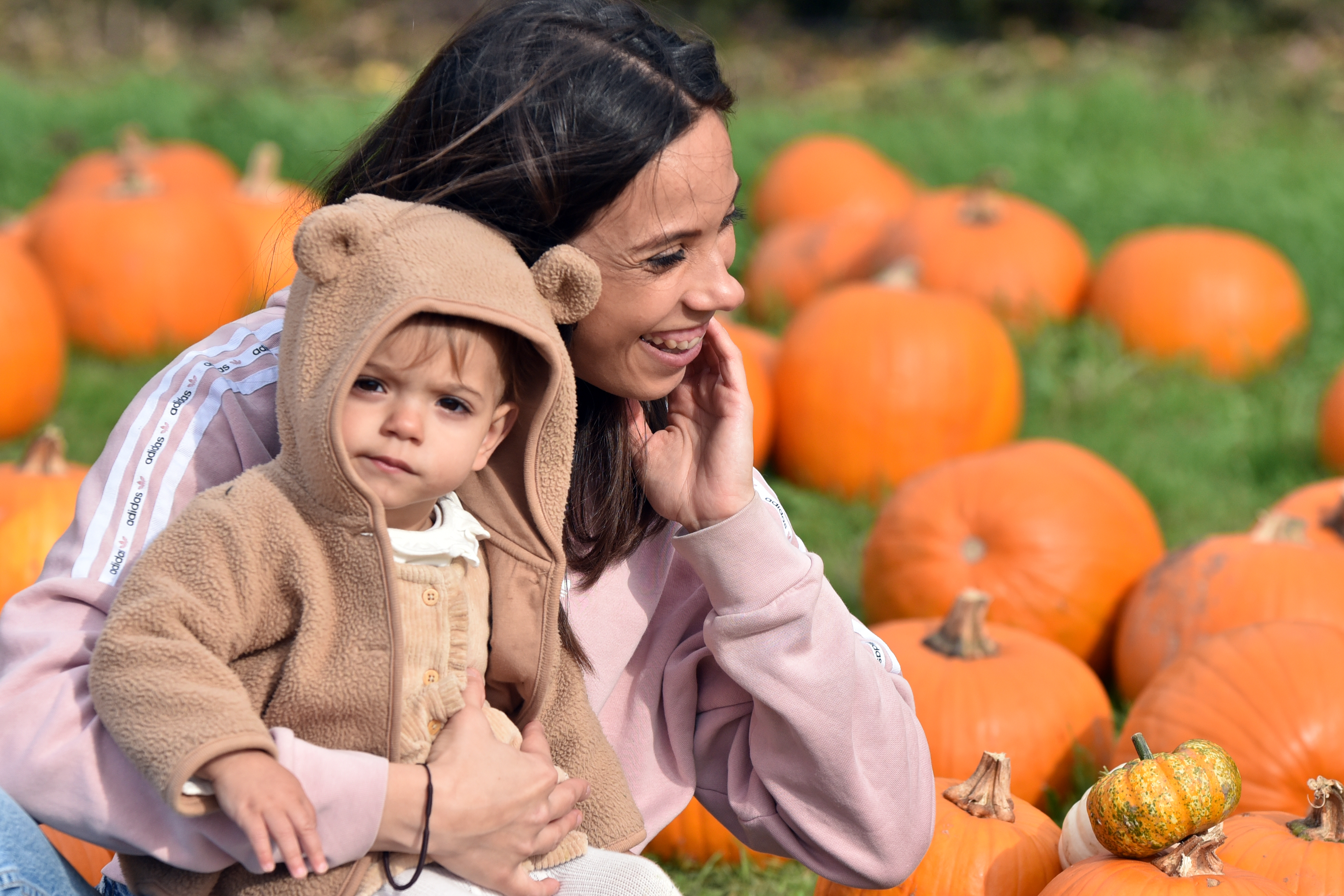 epsom-pumpkin-picking