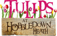 Tulipslogo 02
