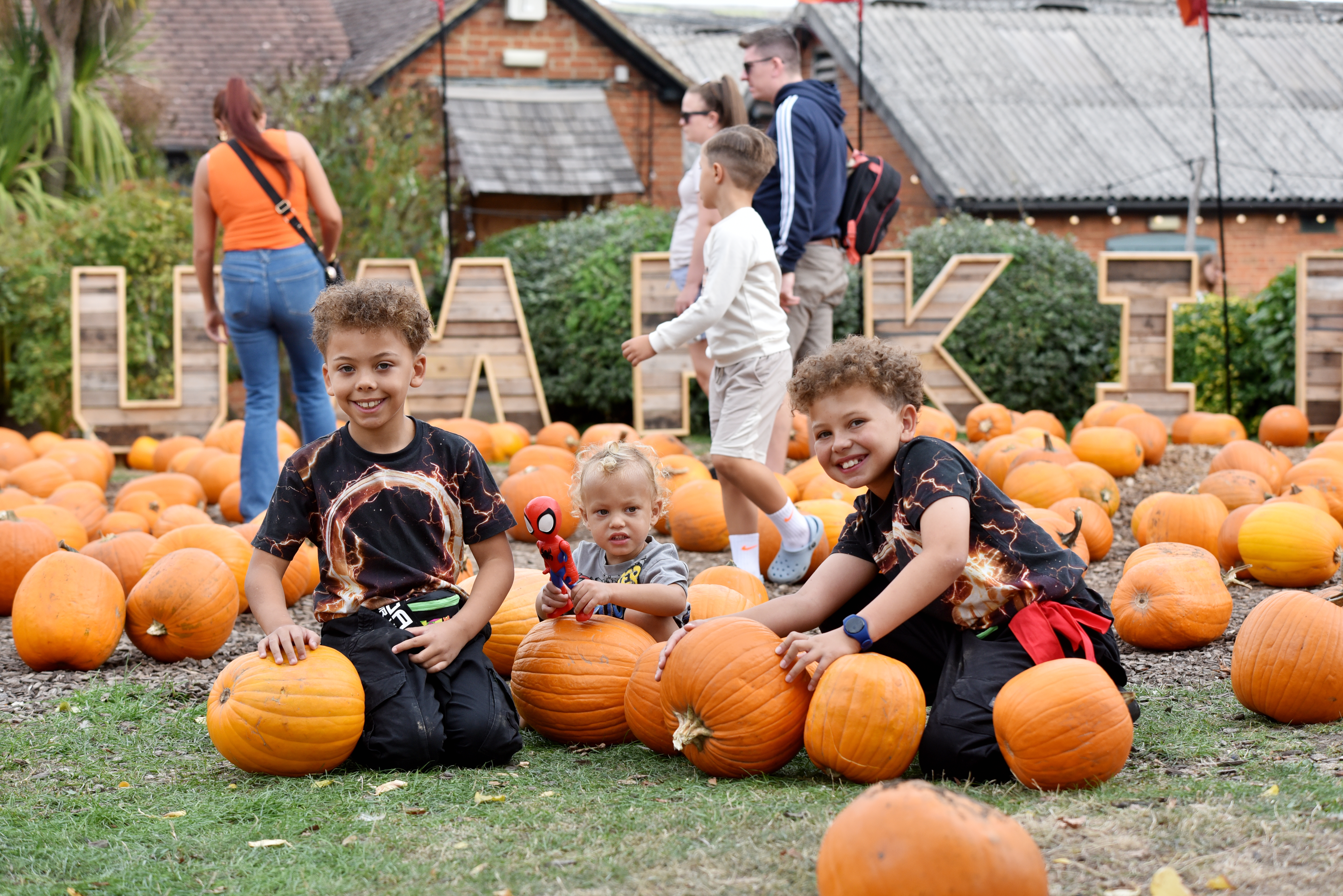 EPSOM PUMPKINS20