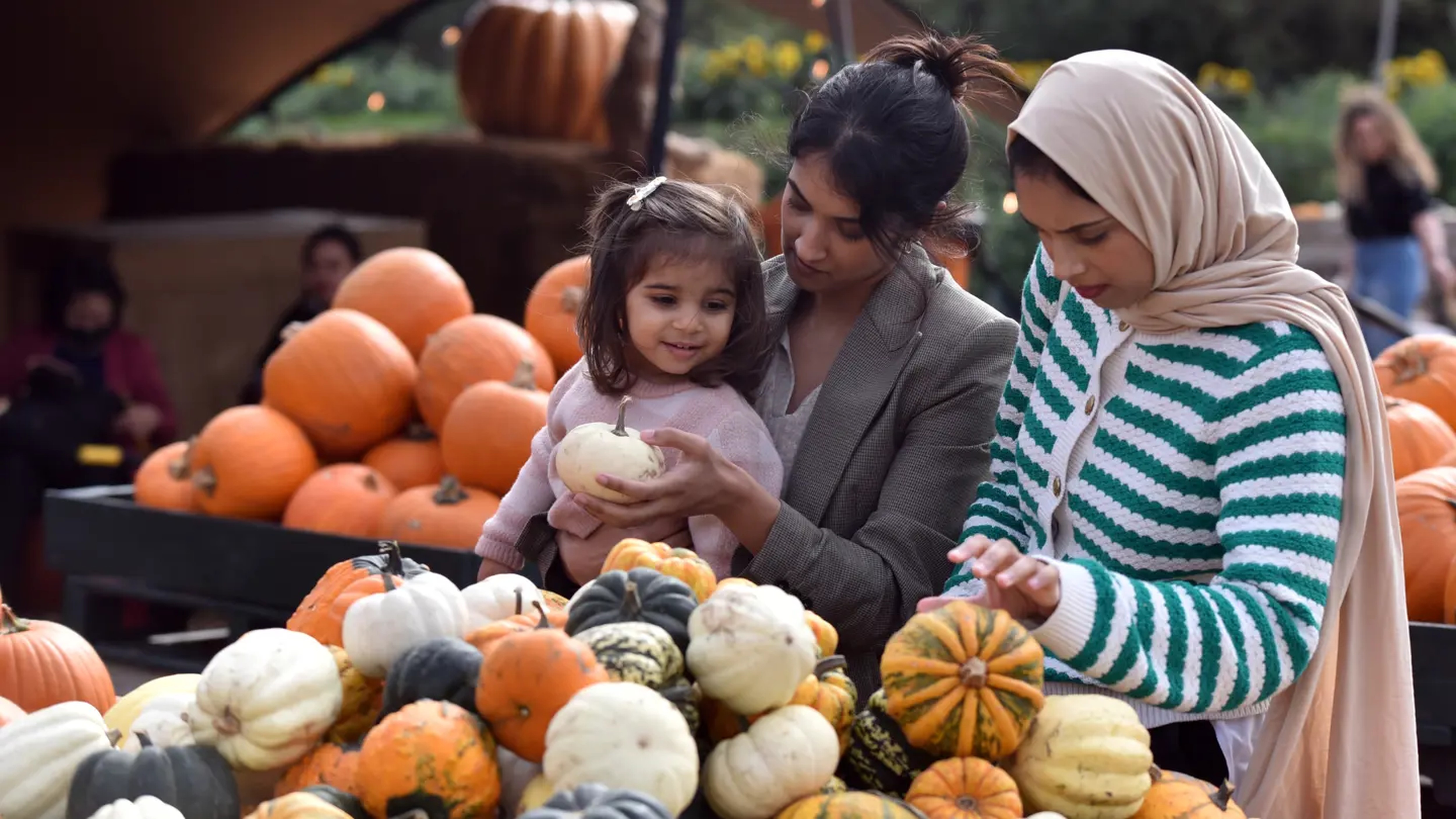 Family Pumpkin Picking Hobbledown Heath London