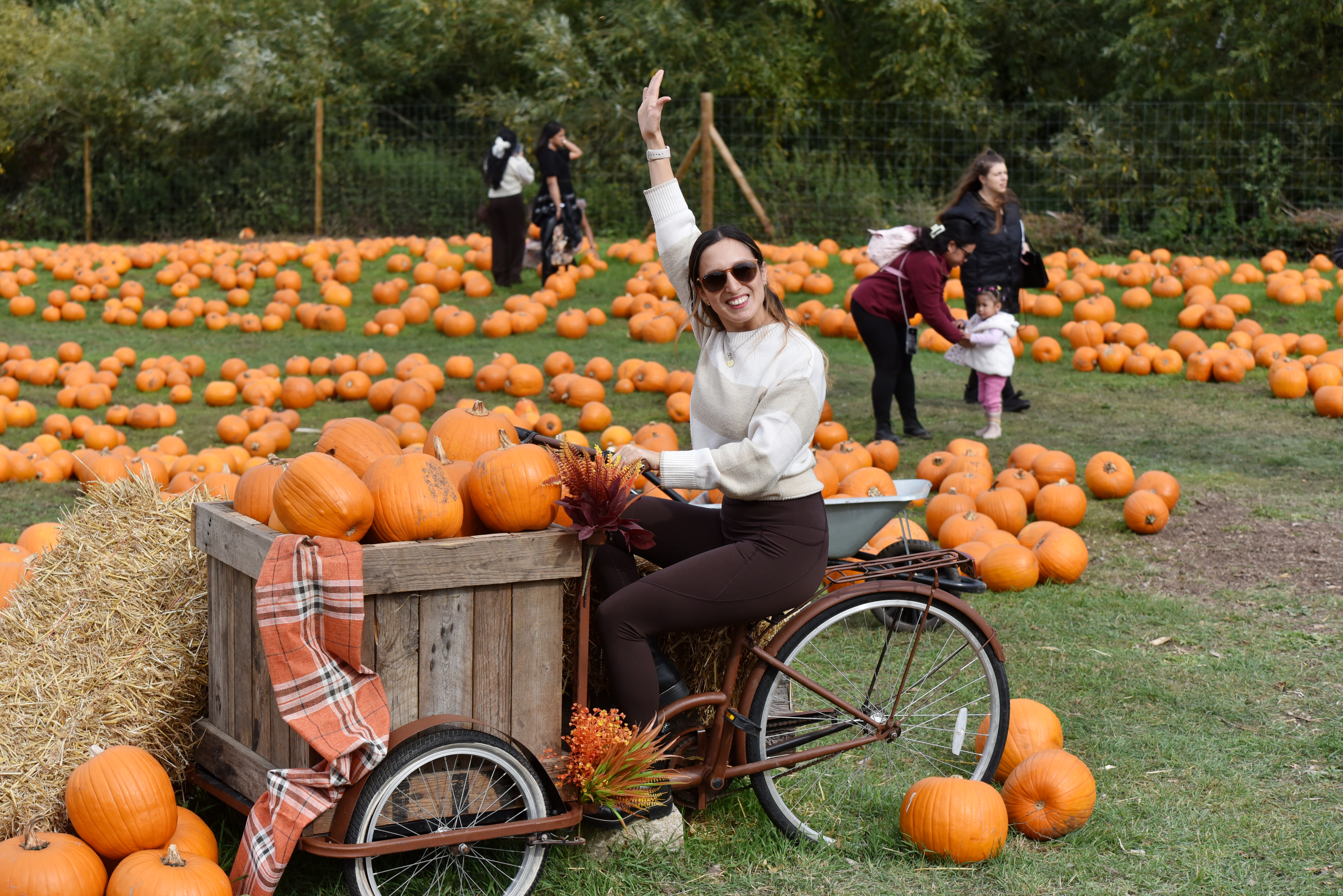 PUMPKINS 2025 042 (1)