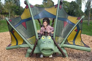 Child on crocodile play equipment