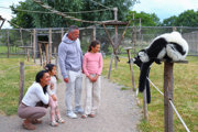 Family watching a black and white ruffed lemur during an animal encounter experience at Hobbledown Heath zoo, Hounslow