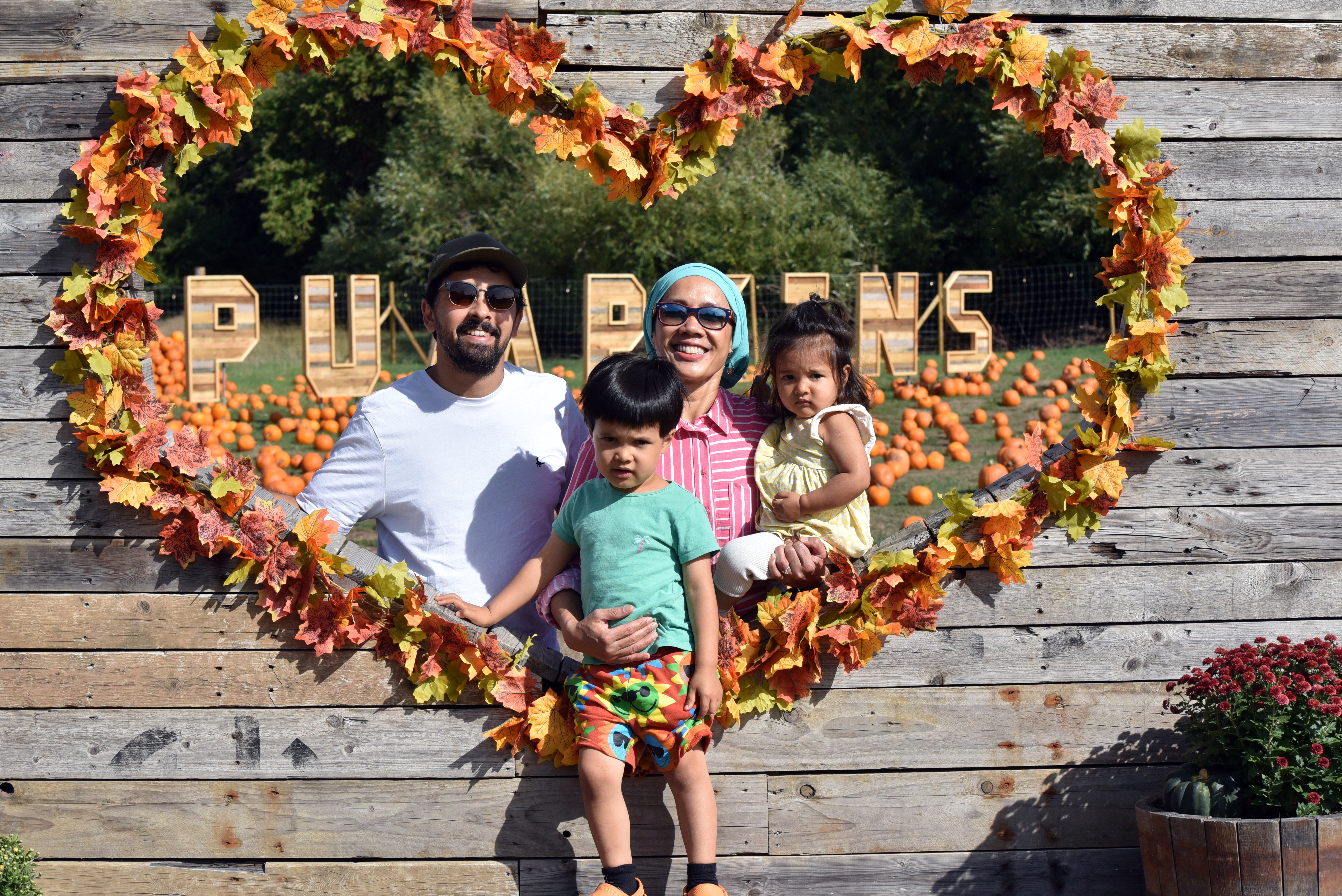 hobbledown-heath-pumpkin-patch