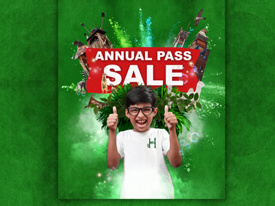 AP SALE NOW ON