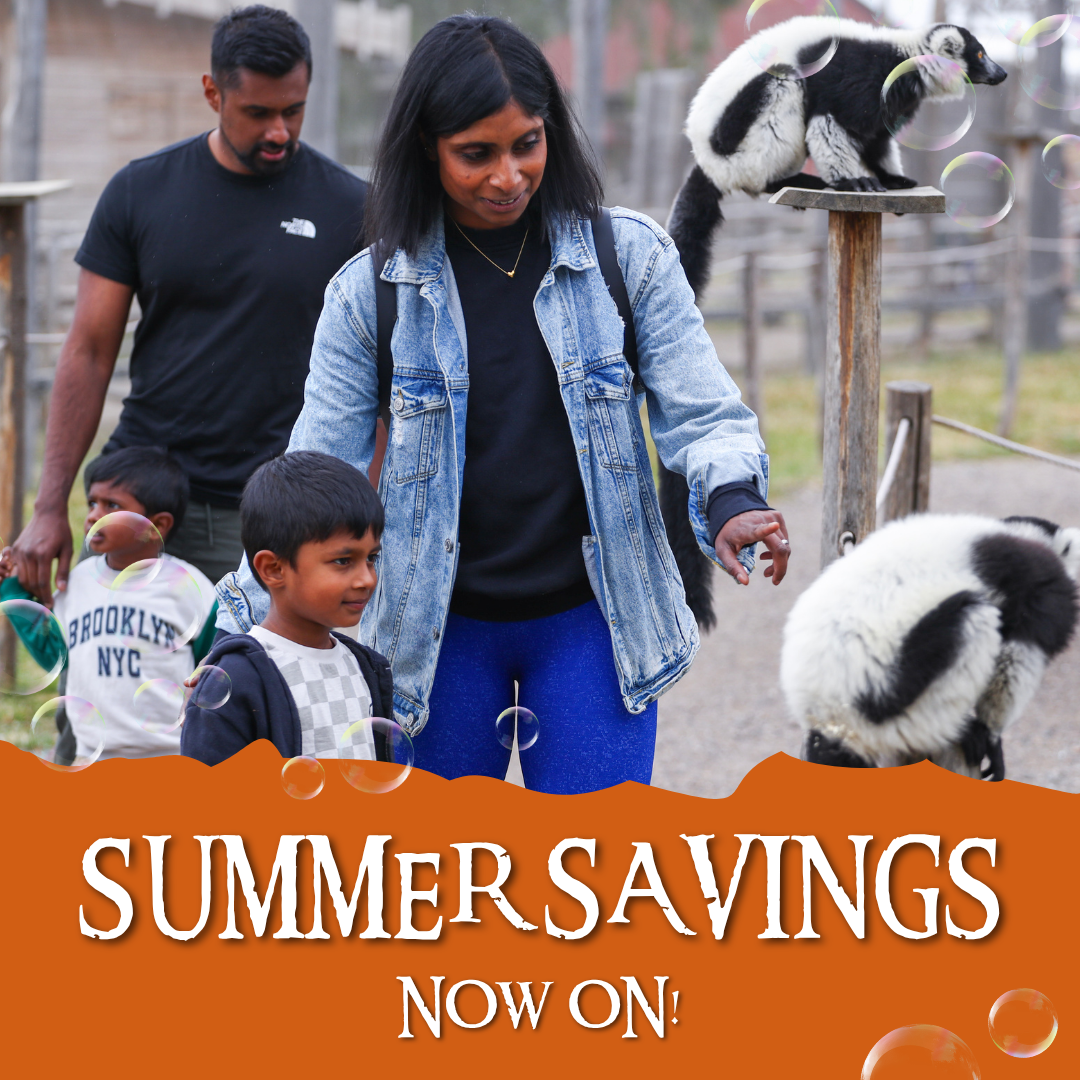 hobbledown-heath-summer-savings