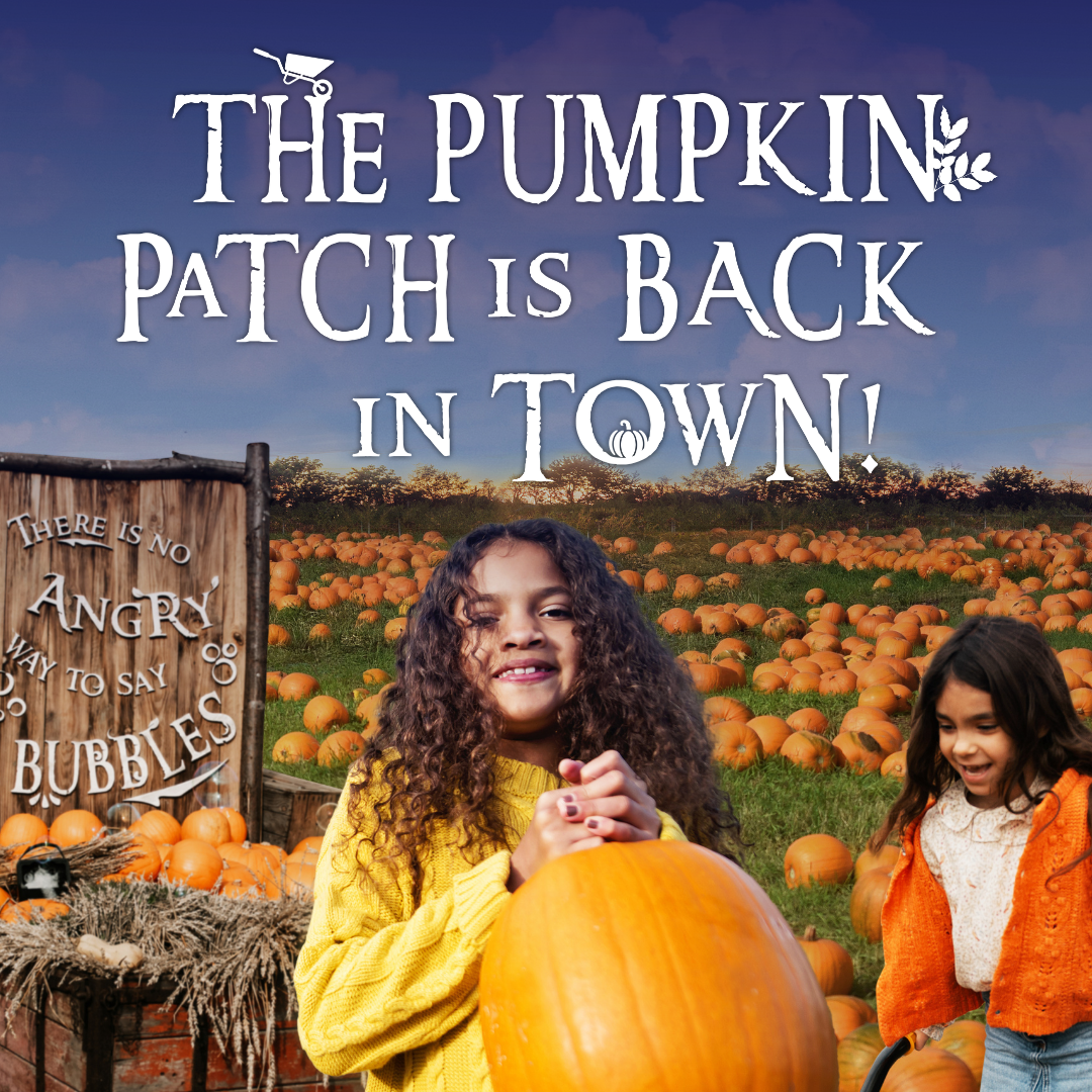 Pumpkin Patch and Picking Near Hounslow