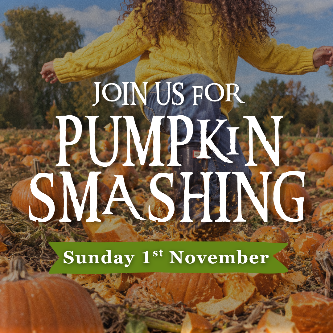6 (2)