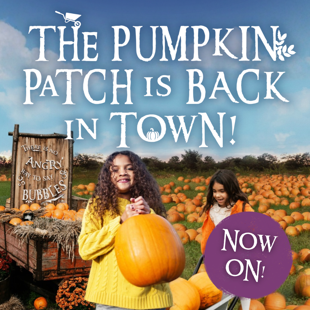 The Hobbledown Heath Pumpkin Patch Is Now On
