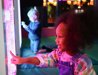 FOX16895 Sensory