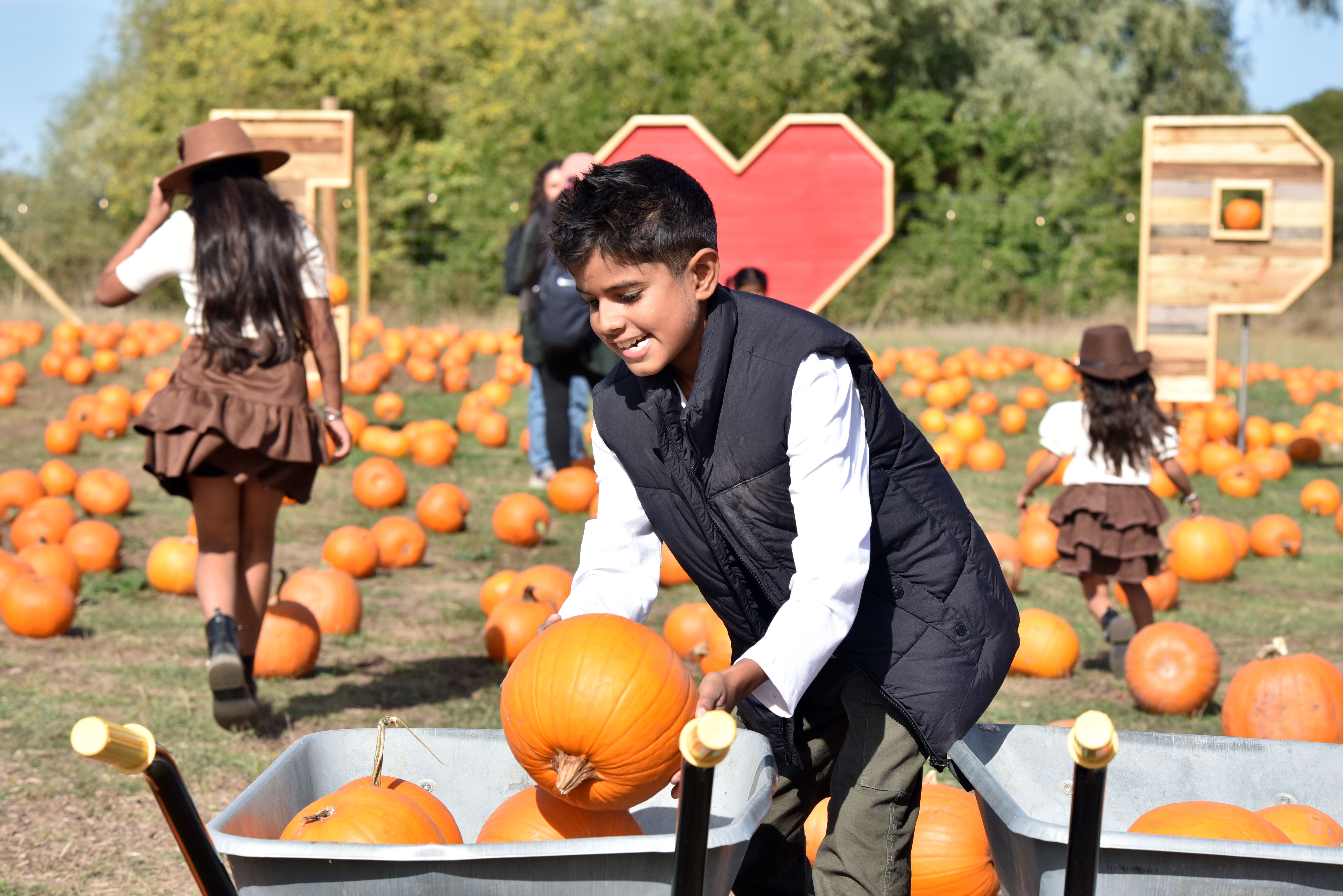 pumpkin-picking