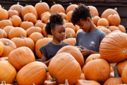 EPSOM PUMPKINS36