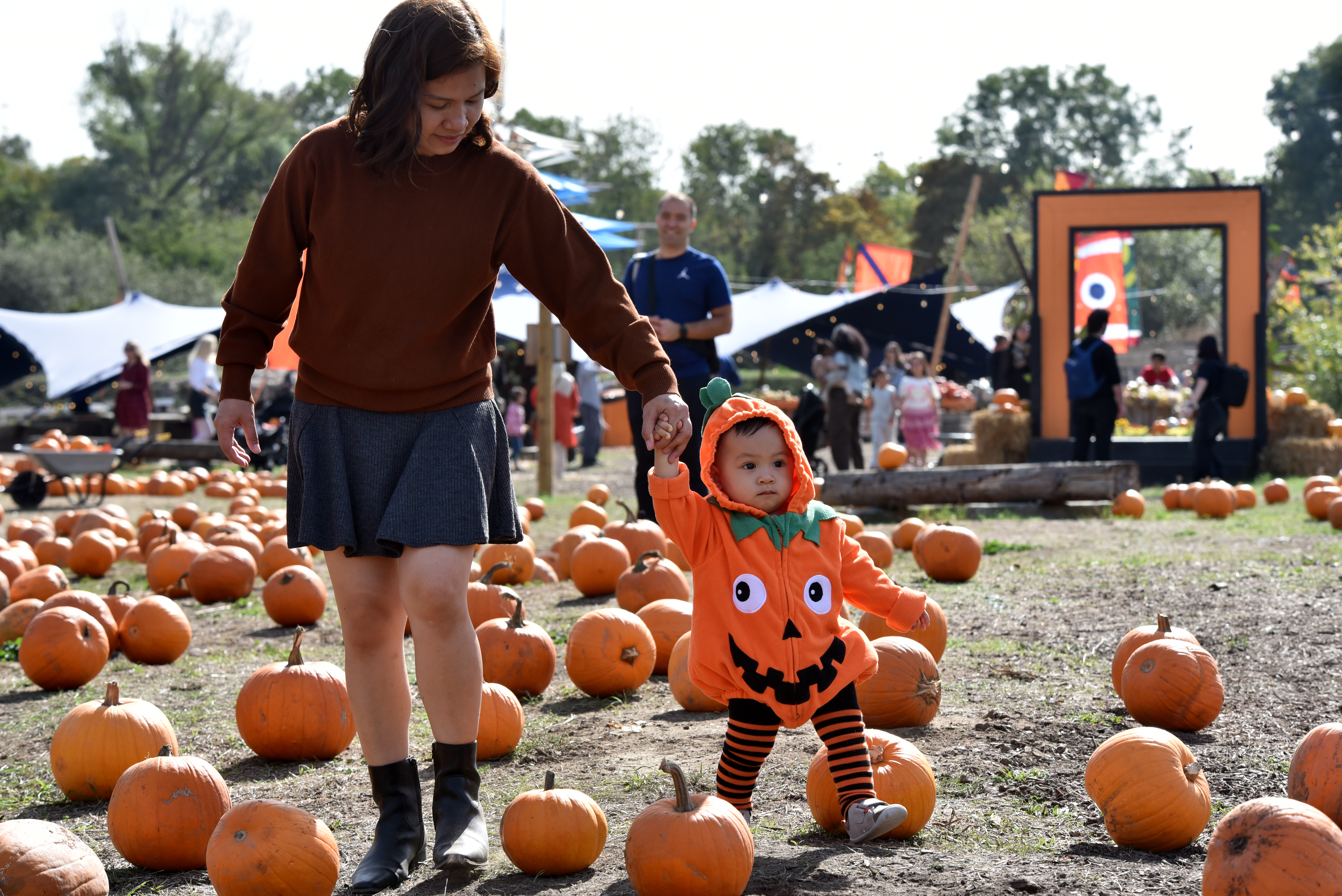 HEATH PUMPKINS27