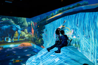 Interactive Savannah